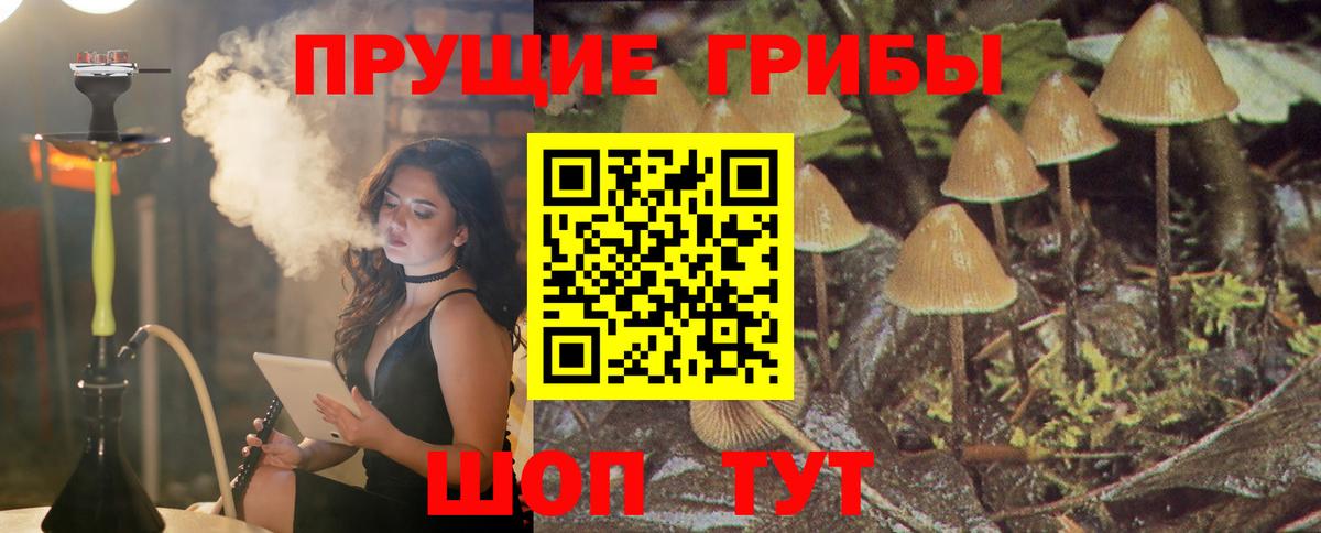 Псилоцибиновые грибы мухоморы Спасск-Дальний