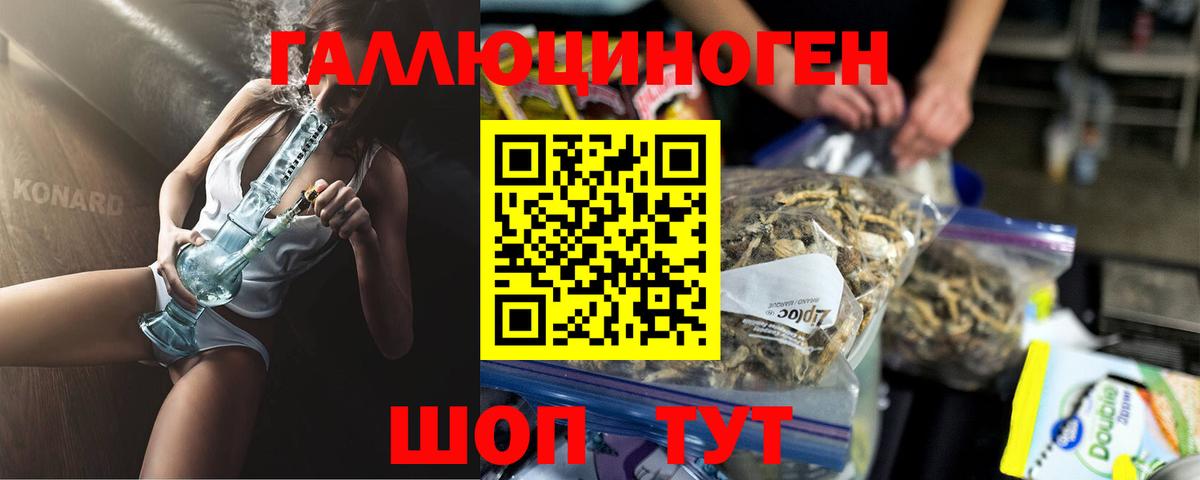 Спасск-Дальний  Галлюциногенные грибы Psilocybine cubensis  Вход с VPN  Псилоцибиновые грибы Psilocybine cubensis 
